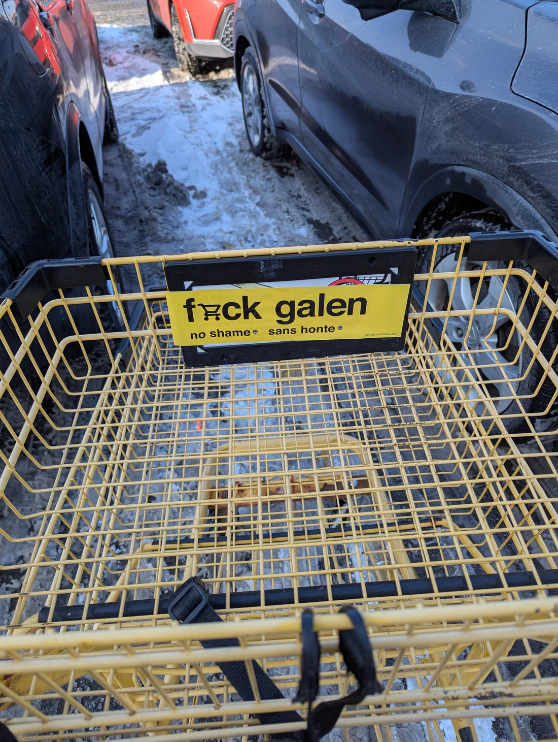 Seen in the wild!